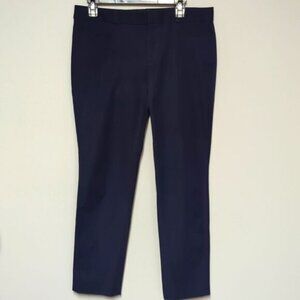Banana Republic Blue Straight Cut Dress Pants